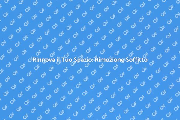 Rimozione Soffitto: Un Nuovo Inizio