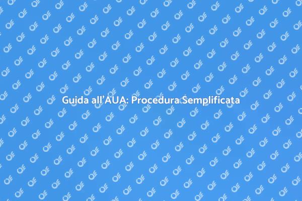 AUA: Procedura e Importanza