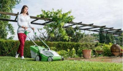 Fratelli Spinazze' - Stihl, Viking  - Foto 9
