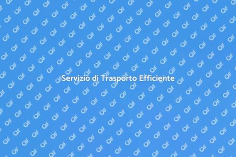 Trasporto Conveniente e di Qualità