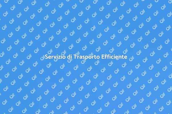 Trasporto Efficiente e Sicuro