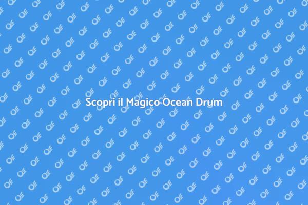 Ocean Drum: Magia Musicale delle Onde
