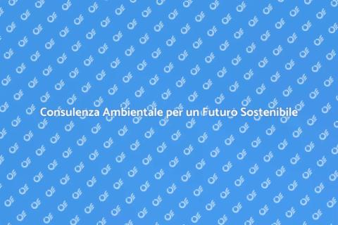 Consulente Ambientale: Sostenibilità Ora