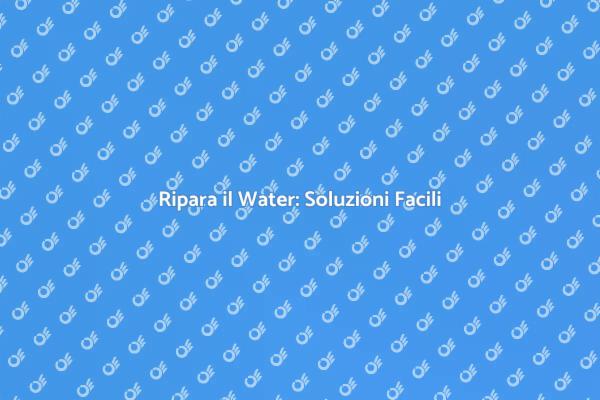 Come Aggiustare il Water in Casa