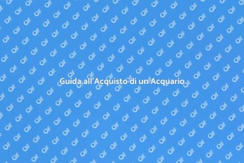 Comprare un Acquario: Guida Completa
