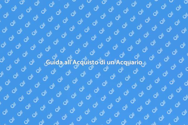 Come Comprare un Acquario Perfetto