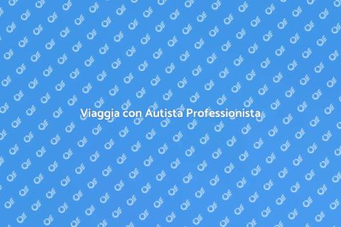 Assistenza con Autista Professionista