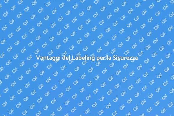 Labeling: Sicurezza nei Luoghi di Lavoro