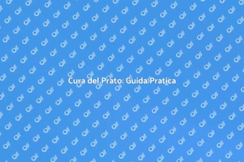 Mantenere un Prato in Salute