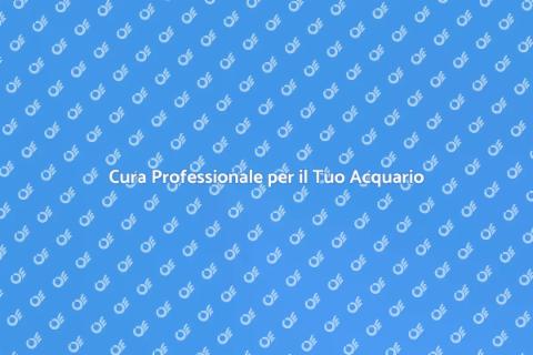 Assistenza Completa per il Tuo Acquario