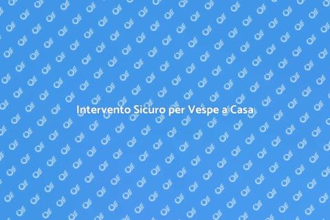 Servizio Professionale per Vespe