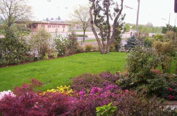 Giardineria Folletti  - Foto 1