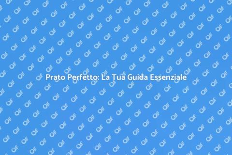 Stendere il Prato: Guida Completa