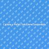 Caldaia a Pellet: Efficienza e Comfort