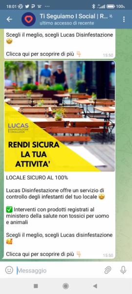 Lucas Disinfestazione  - Foto 13