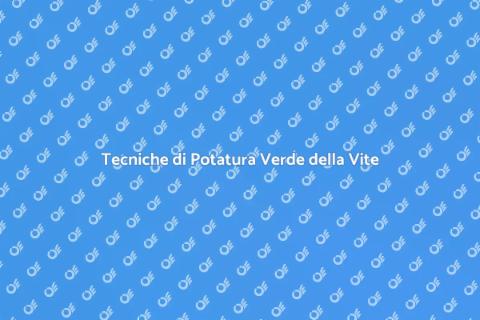 Potatura Verde della Vite: Guida Essenziale