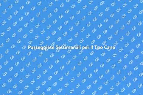 Dog Walking Settimanale per Cani Felici