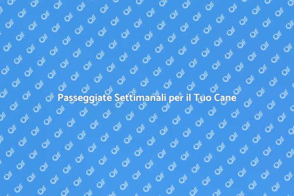 Il Dog Walking: Un Must per i Cani