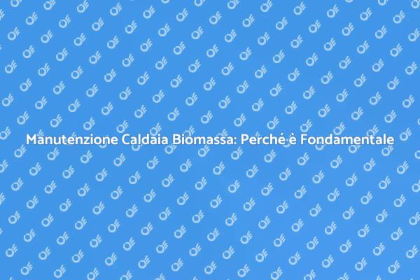 Manutenzione della Caldaia a Biomassa