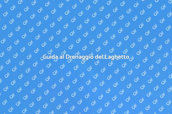 Drenaggio Efficace per Laghetti da Giardino