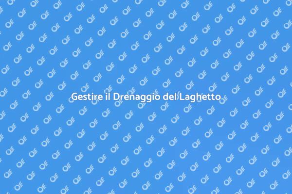 Drenaggio Essenziale per Laghetti