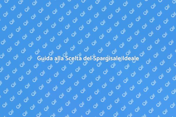 Come Scegliere il Giusto Spargisale