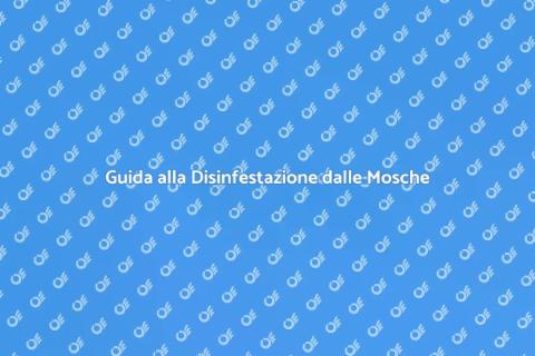 Disinfestare Aree Pubbliche dalle Mosche