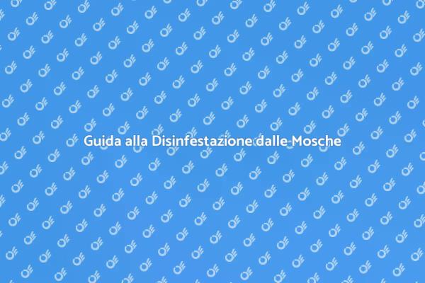 Come Eliminare le Mosche nelle Aree Pubbliche