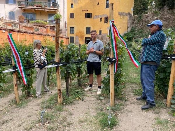 ARTE ET AGRICOLTURA DI ENRICO ARIO ROCCHI - Foto 1