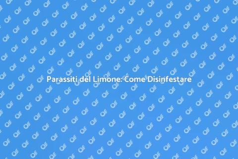 Disinfestare Parassiti del Limone