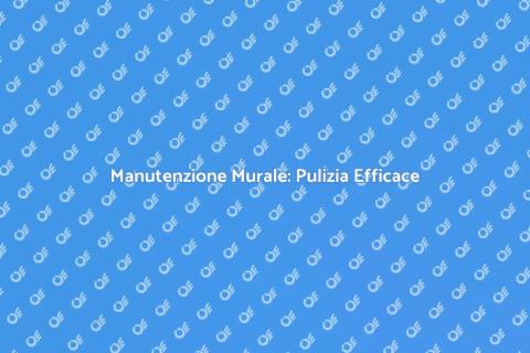 Pulizia Rivestimenti Murali Casa