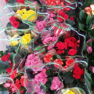 Dillo con un fiore srl - Foto 7