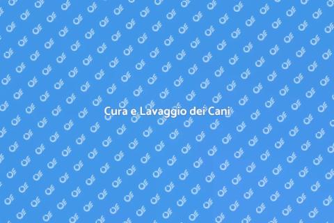 Spazzolatura e Lavaggio per Cani