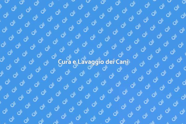 Spazzolatura e Lavaggio per Cani Felici