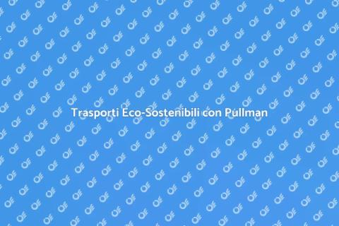 Noleggio Pullman con Autista Eco-Sostenibile
