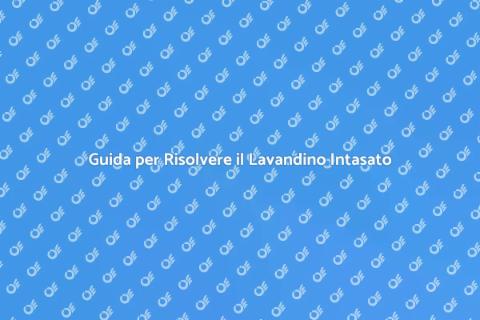 Risolvere il Lavandino Intasato