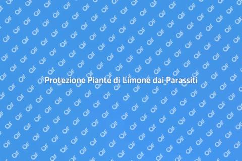 Prevenire Parassiti Piante di Limone