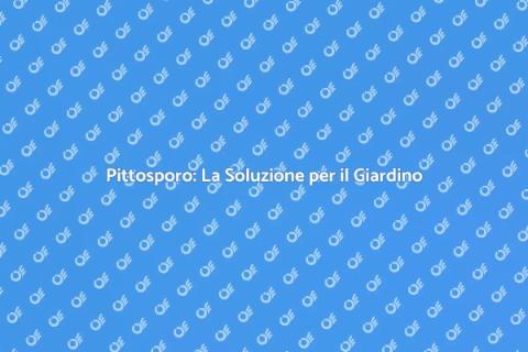 Siepe di Pittosporo: Eleganza e Privacy