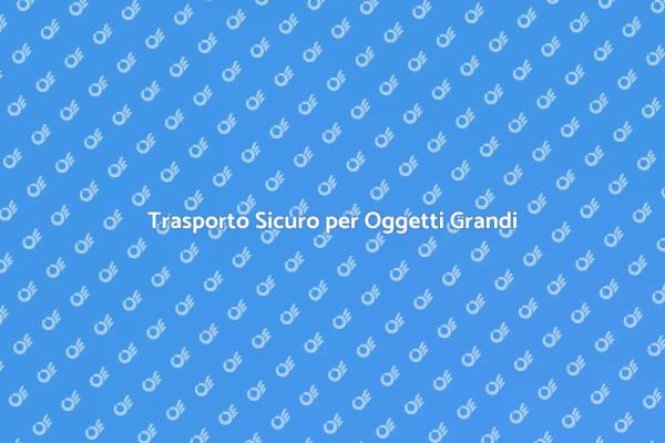 Il Tuo Traslocatore di Fiducia