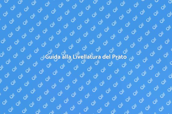 Livellare il Prato: I Nostri Consigli