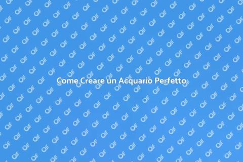 Progettare un Acquario da Sogno