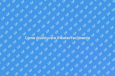 Disotturare il water intasato