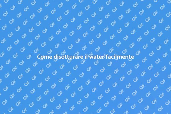 Soluzioni per water intasato