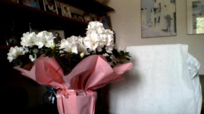 alfredo R. - Foto 5