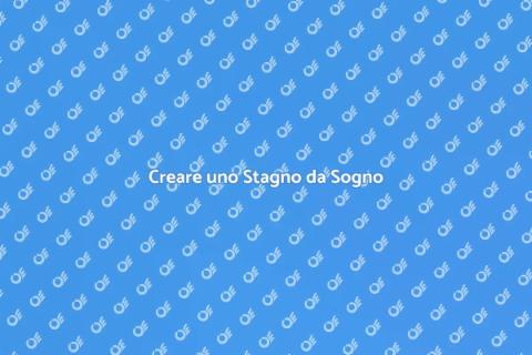 Realizzare uno Stagno nel Giardino
