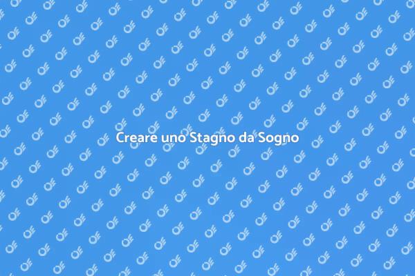 Guida alla Creazione di uno Stagno