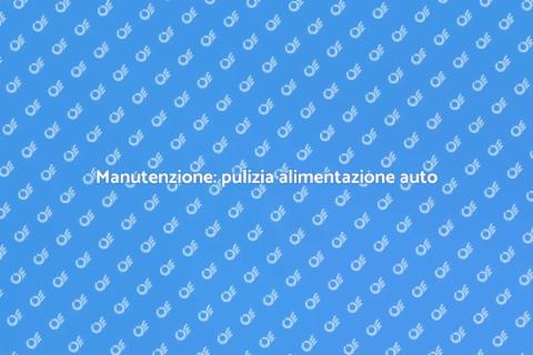 Pulizia sistema di alimentazione auto