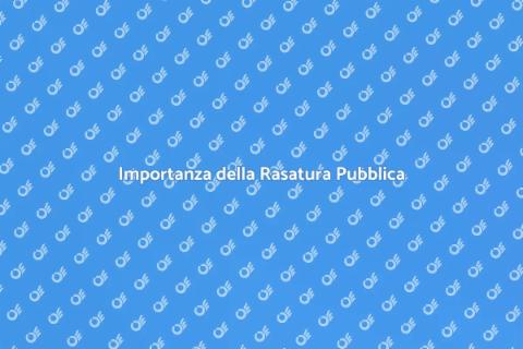 Rasatura Edifici Pubblici: Precisione