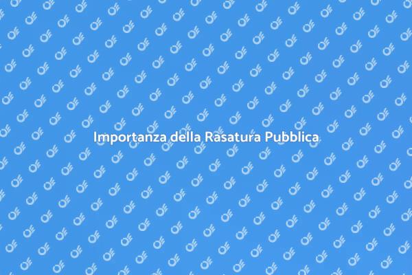 Rasatura: Fondamentale per Edifici Pubblici