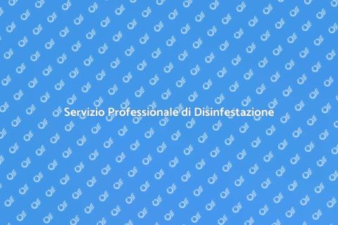 Disinfestazione Vespe: Servizio Efficace